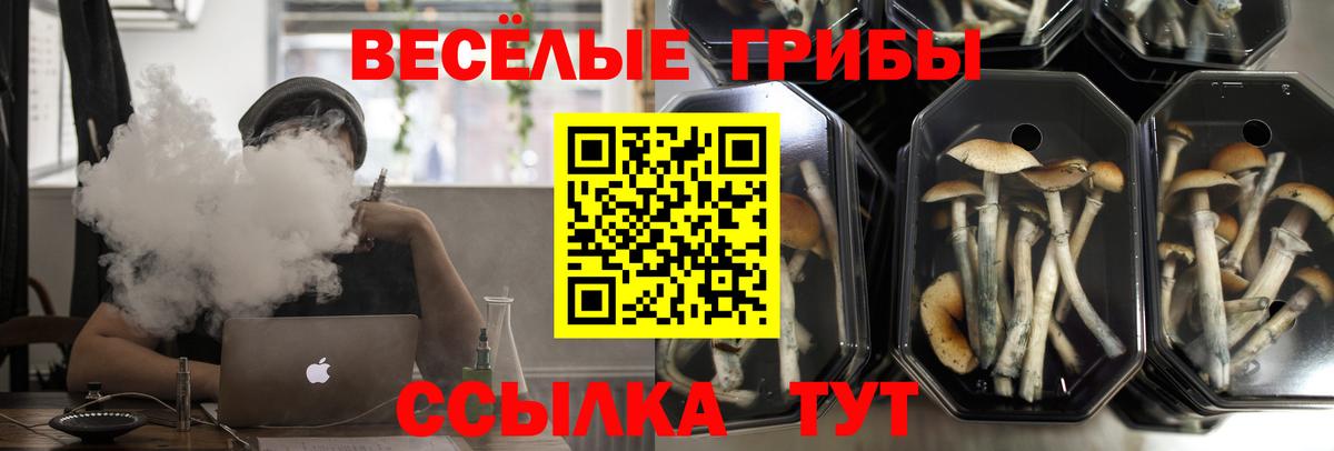 Галлюциногенные грибы GOLDEN TEACHER  Вход с VPN  Солнечногорск 