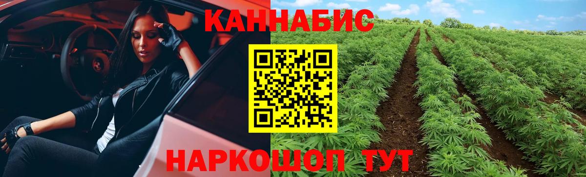 Солнечногорск  Канабис гибрид  Бошки Шишки ГИДРОПОН  Конопля семена  Вход с VPN 